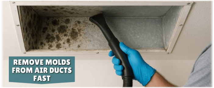 Air Duct Mold Removal in Alpharetta
